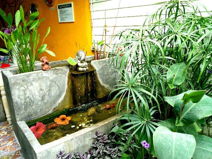 Yin Yang Guesthouse Чиангмай Екстериор снимка