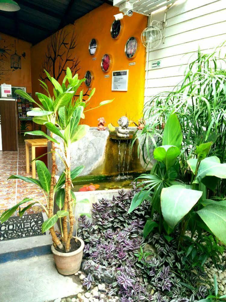 Yin Yang Guesthouse Чиангмай Екстериор снимка